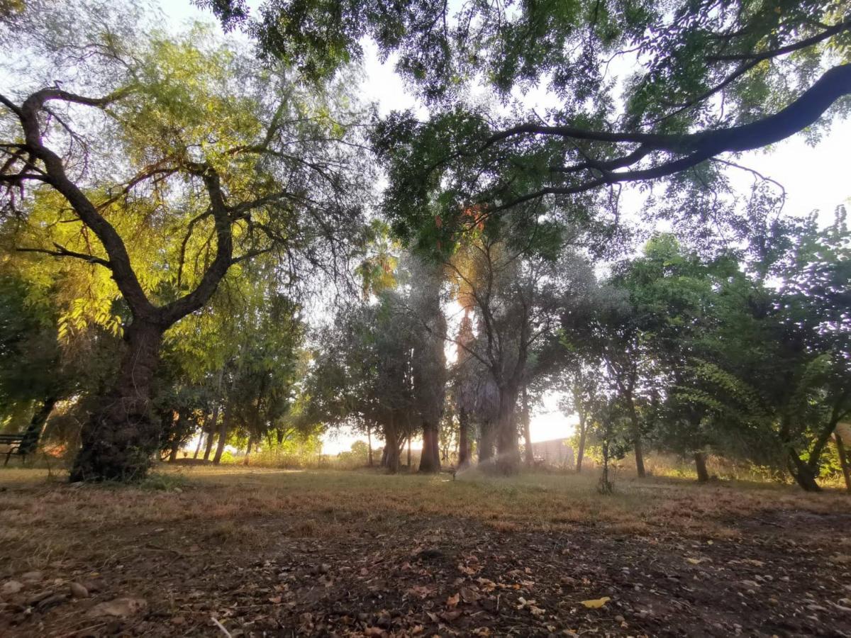 Finca El Naranjo Sevilla Eksteriør billede